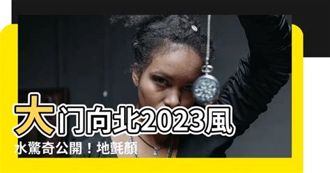 2023年大門地氈顏色|【2023兔年大門地氈顏色】2023兔年提升運勢必備指南：精選大。